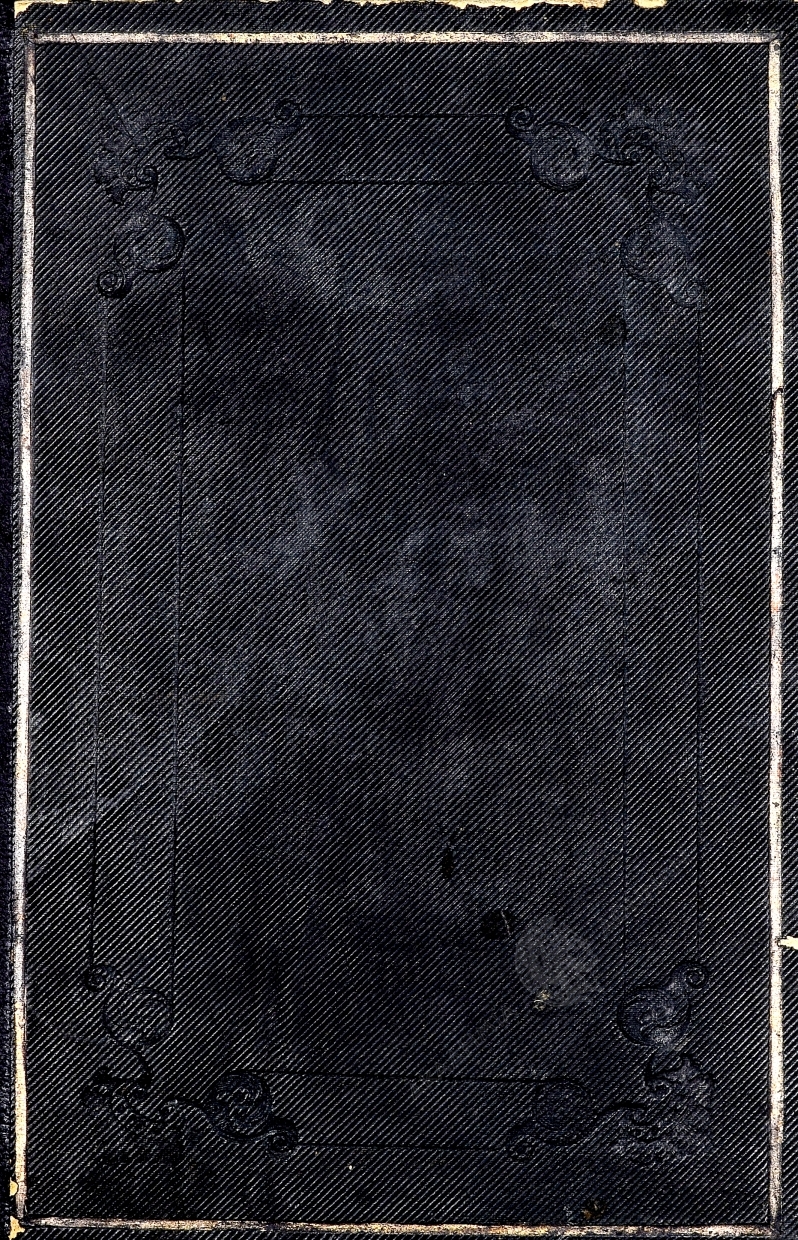 Book page image