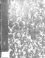 thumbnail of bitstream