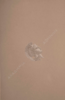 thumbnail of bitstream
