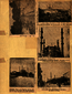 thumbnail of bitstream
